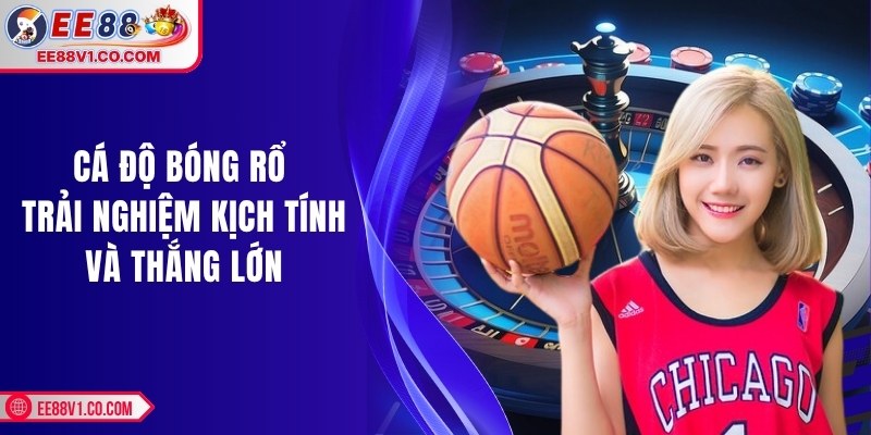 Cá độ bóng rổ